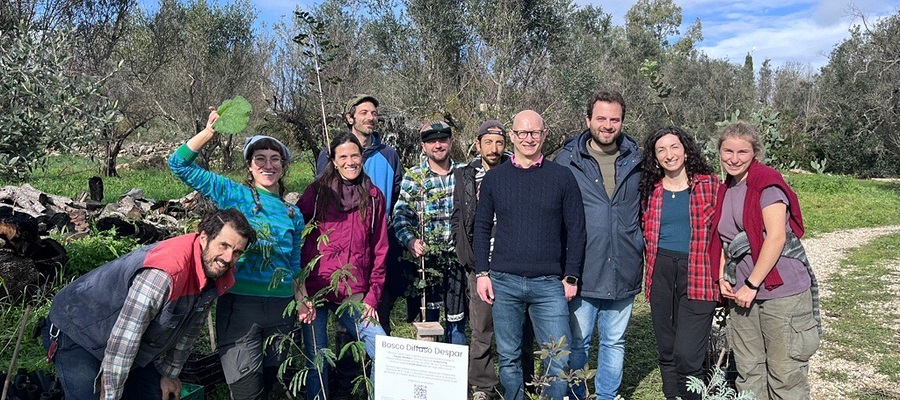 Il “Bosco Diffuso Despar” continua a crescere Il “Bosco Diffuso Despar” continua a crescere